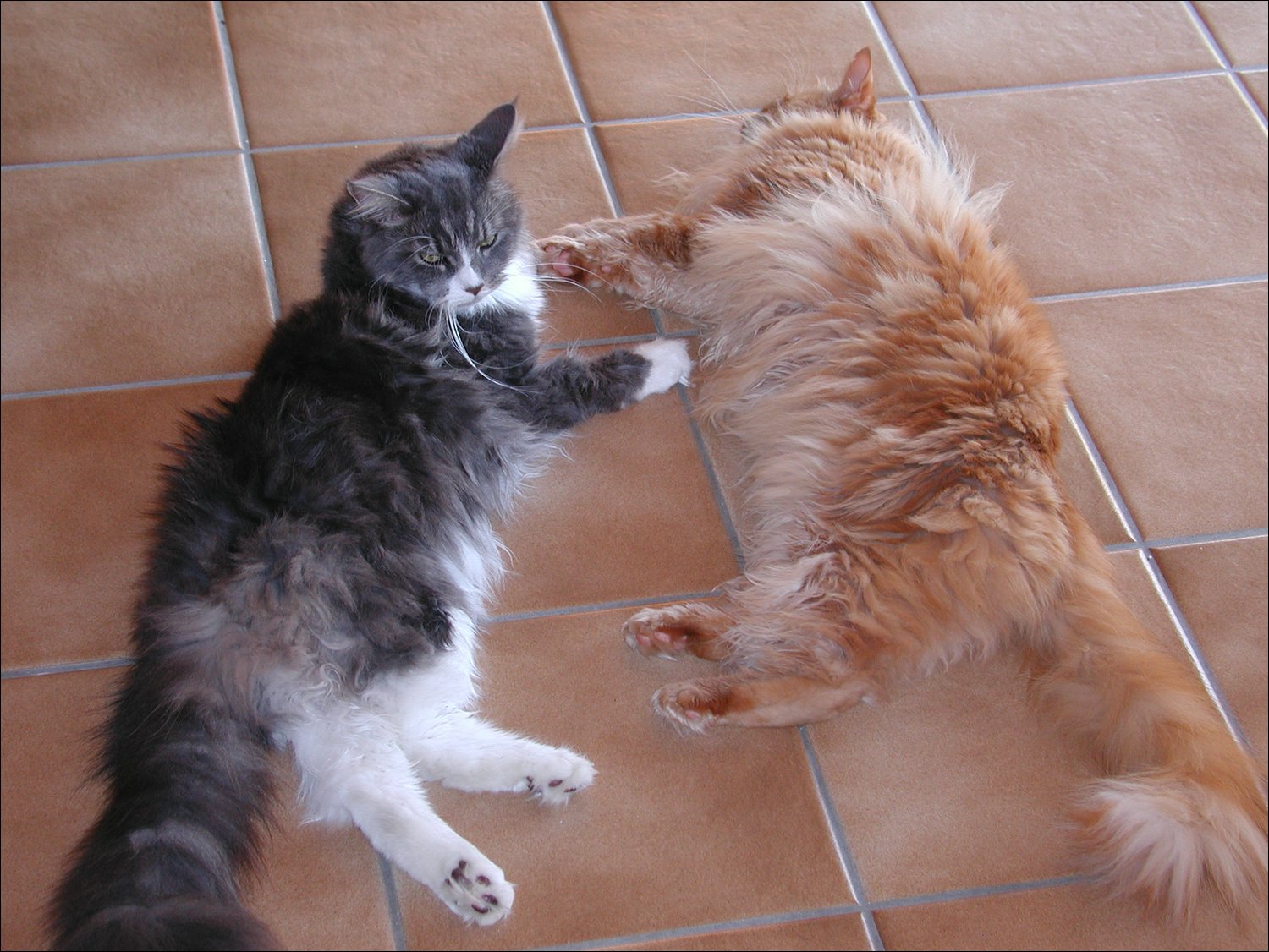 P1010447.JPG