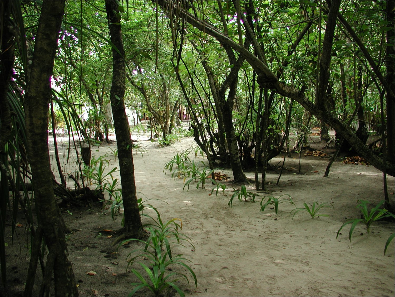 P1011328.JPG