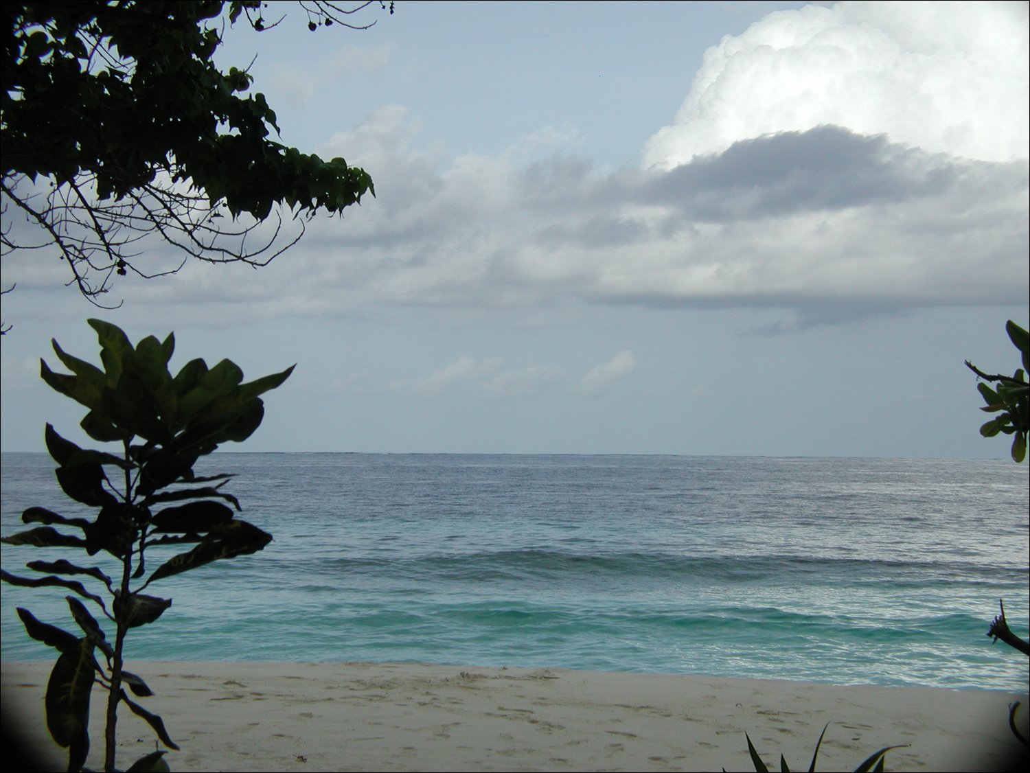 P1011334.JPG