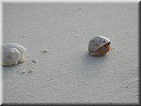 P1011350.JPG