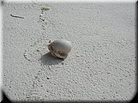 P1011404.JPG
