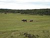 DSC01271.JPG