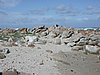 P1012009.JPG