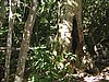 P1012060.JPG