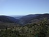 P1012100.JPG