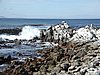 P1012123.JPG