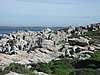P1012125.JPG