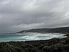 P1012134.JPG