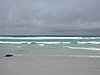 P1012135.JPG