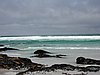P1012138.JPG