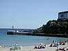 P1011109.JPG
