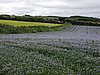 P1011157.JPG